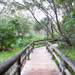 Noosa in cyclone season